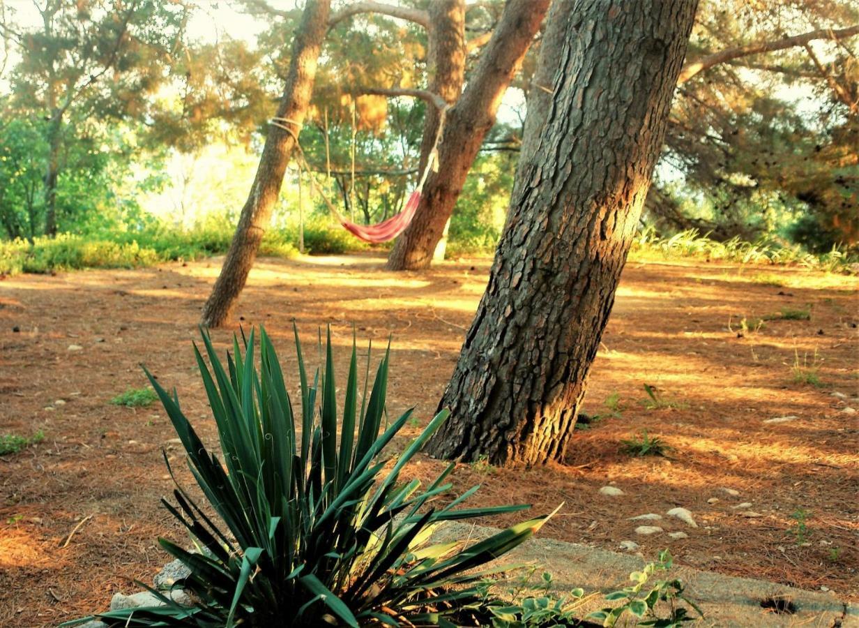 Quercus Apartment Stara Baška المظهر الخارجي الصورة